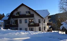 Hoffmann's Apartment in der Residenz Bocksbergblick